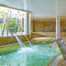 WELLNESS